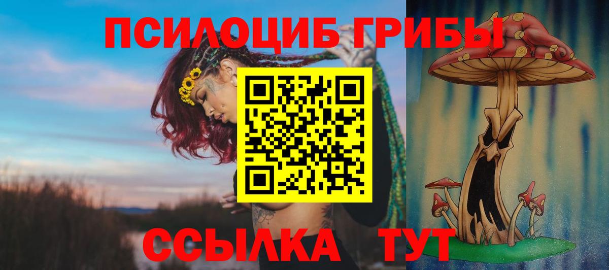 Сорочинск  Галлюциногенные грибы мицелий  Псилоцибиновые грибы мицелий  Вход с VPN 